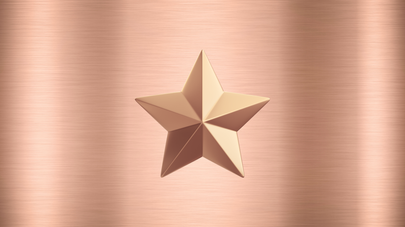 Bronze Supporter Business Community Plastic Soup Foundation